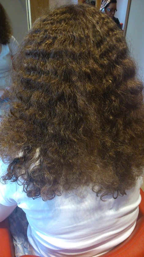 optismooth-naturally-curly-frizzy-before-hair